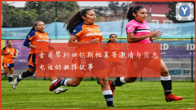 舍甫琴科回忆斯帕莱蒂邀请与贝总电话的抉择故事