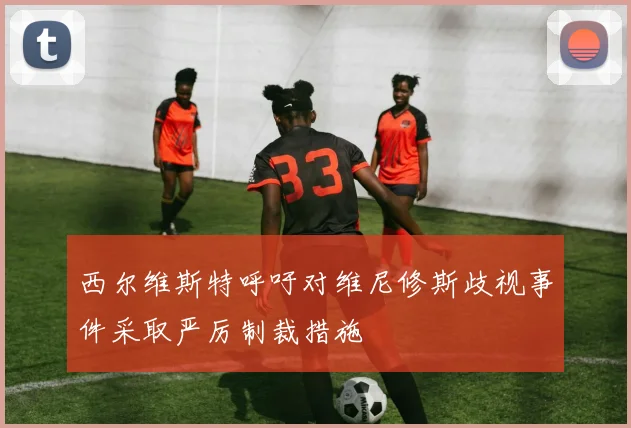 西尔维斯特呼吁对维尼修斯歧视事件采取严厉制裁措施