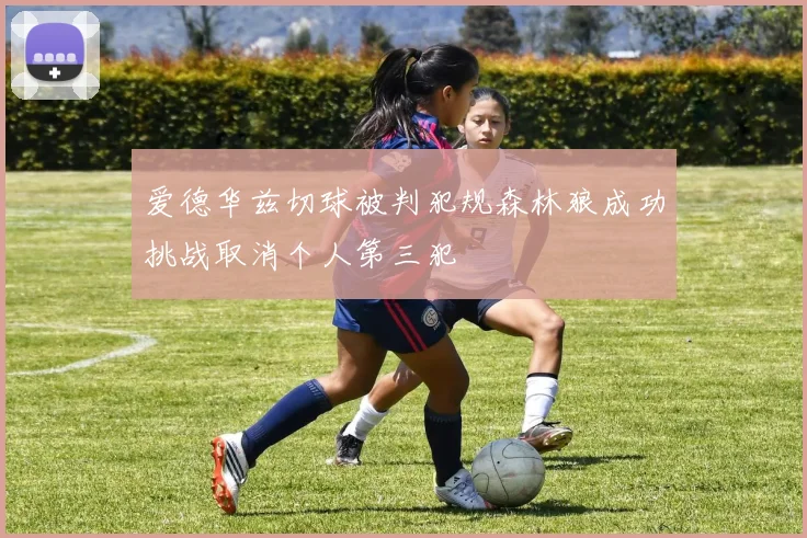 爱德华兹切球被判犯规森林狼成功挑战取消个人第三犯