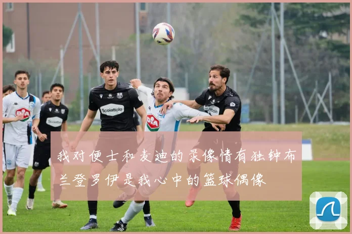 我对便士和麦迪的录像情有独钟布兰登罗伊是我心中的篮球偶像
