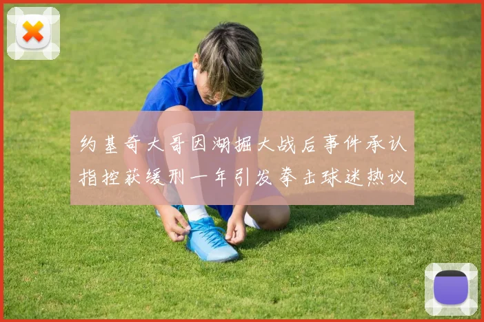 约基奇大哥因湖掘大战后事件承认指控获缓刑一年引发拳击球迷热议