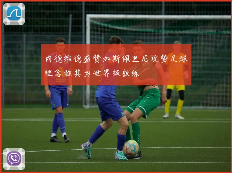 内德维德盛赞加斯佩里尼攻势足球理念称其为世界级教练